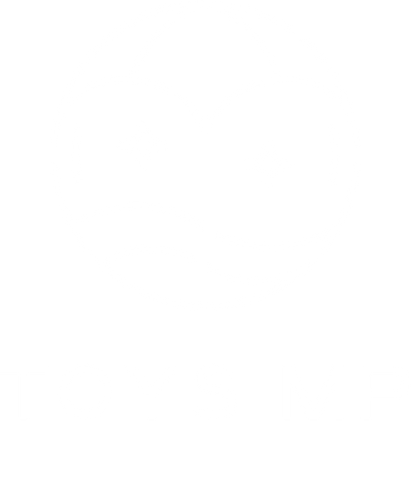 Toys MP